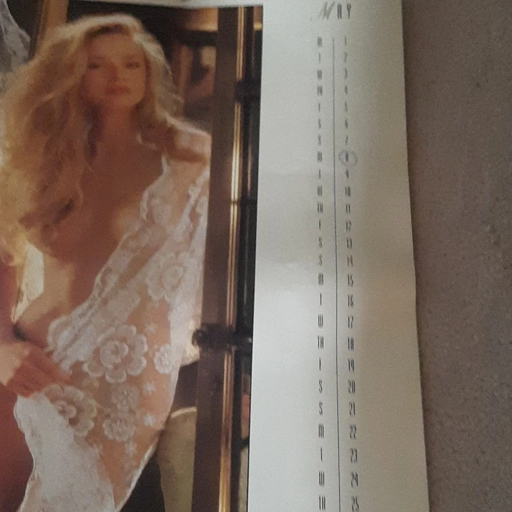 Vtg. 1995 Playboy Calendar - Picture 5 of 8